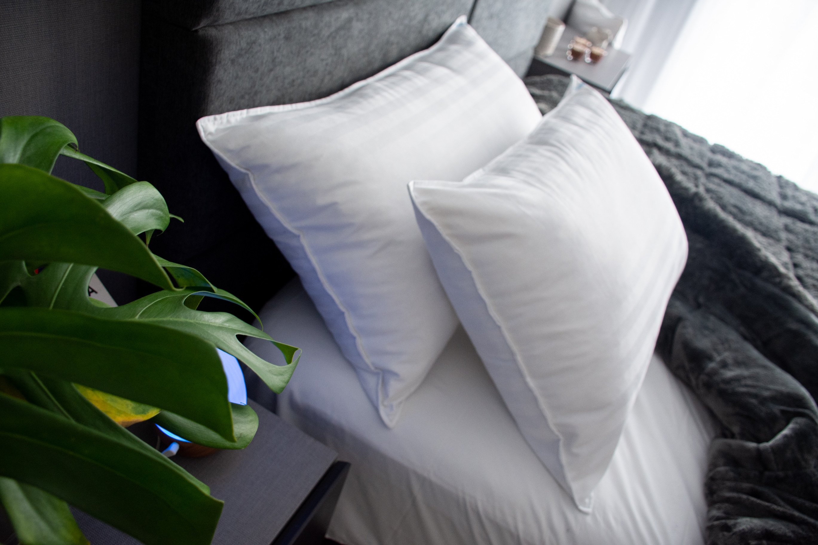 Almohada 100% Duvet 50x90 Padkova